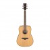 Ibanez AW65-LG Akustična gitara
